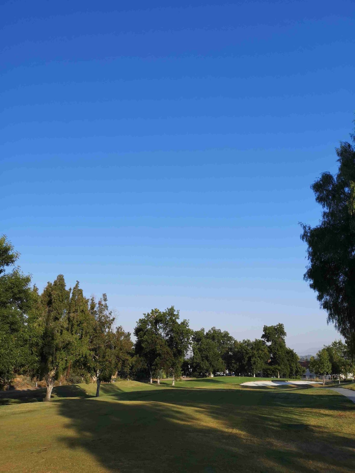 img_20200828_075220-1