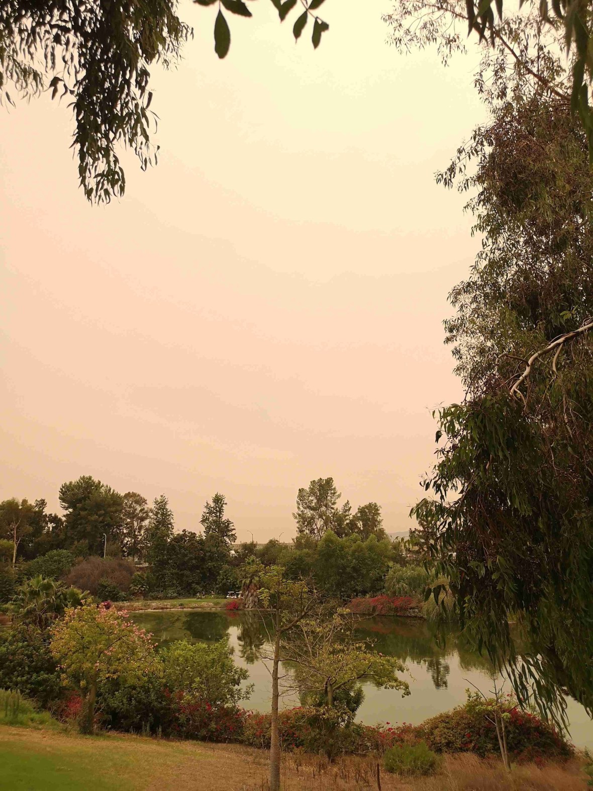 img_20200910_160723-1