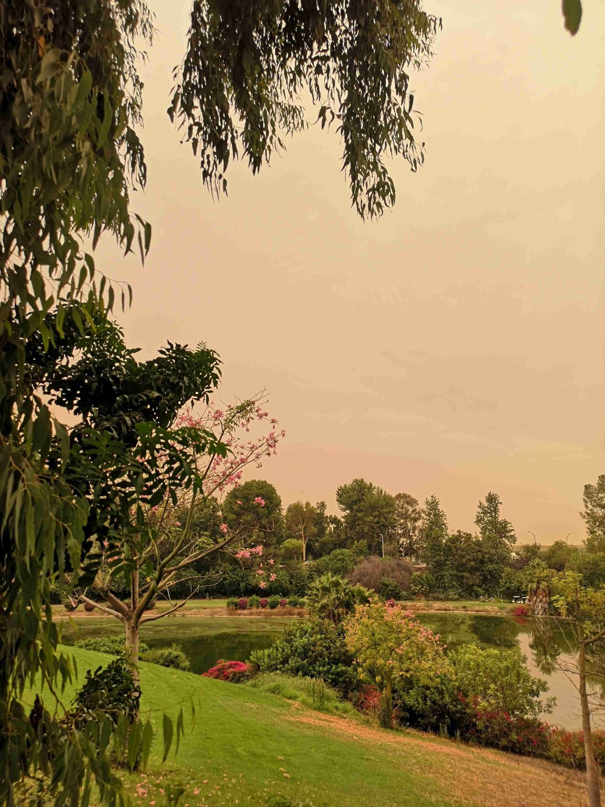 img_20200910_160732-1